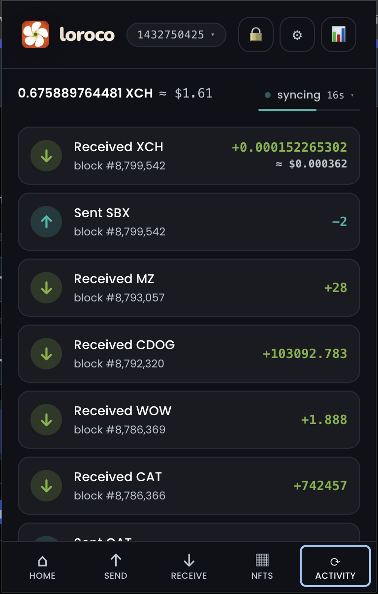 Activity tab listing received and sent transactions by block